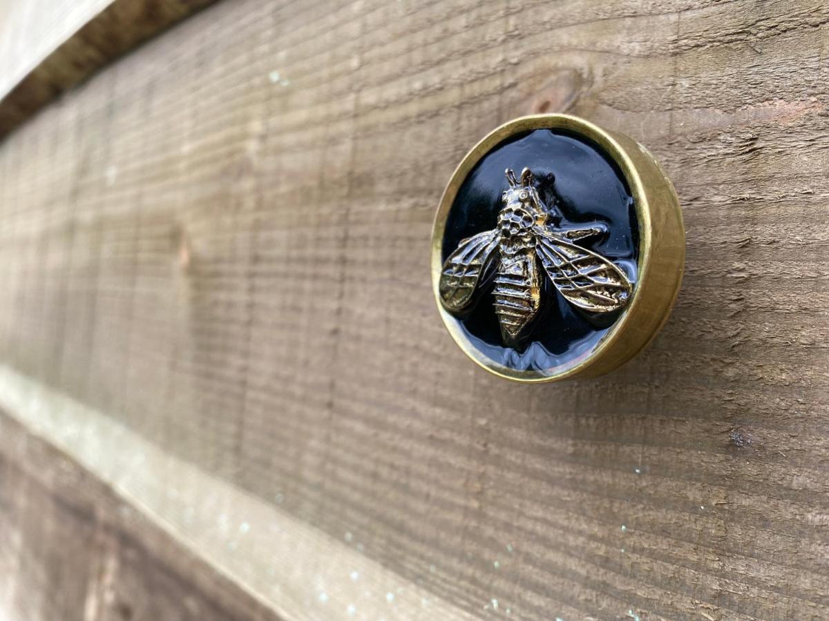 Black Mountains Glamping Hotel Abergavenny Eksteriør billede