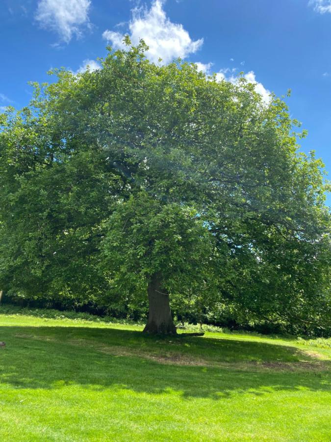 Black Mountains Glamping Hotel Abergavenny Eksteriør billede